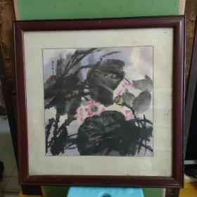 国画 醉荷（32.5*32.5）