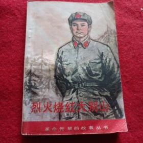 烈火燒紅大別山……王樹聲的故事