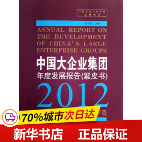 保正版！中国大企业集团年度发展报告9787802349087中国发展出版社中国企业评价协会