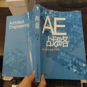 AE战略：中国工程企业成长实录