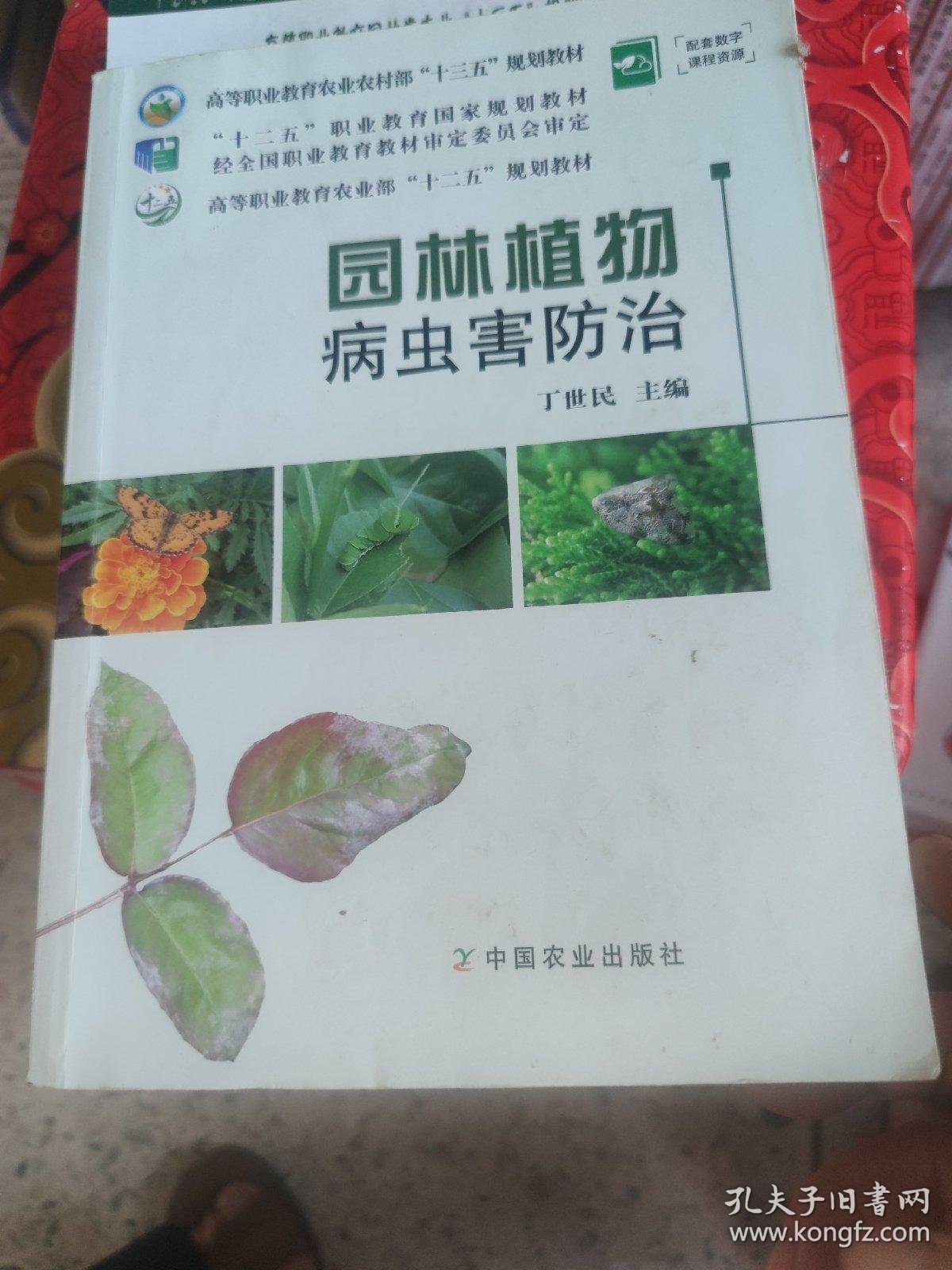 绿意盎然：无土栽培实验引领农业创新