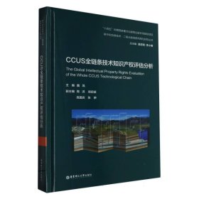CCUS全链条技术知识产权评估分析(精)/碳中和负碳技术二氧化碳地质利用与封存丛书