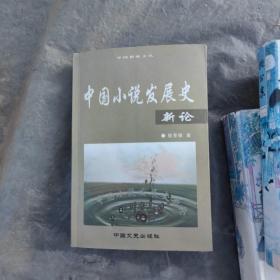 中国小说发展史新论