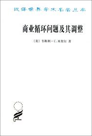 商业循环问题及其调整/汉译世界学术名著丛书