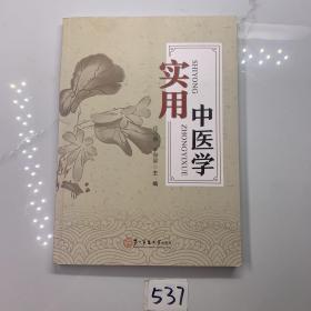 实用中医学（第二军医大学出版社出版发行）