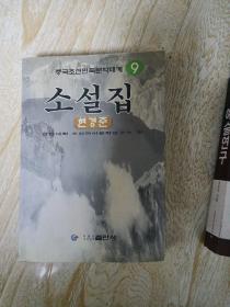 中国朝鲜民族文学大系    小说集  9  朝鲜文