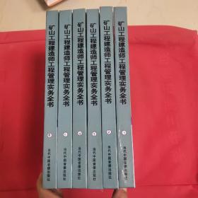 矿山工程建造师工程管理实务全书  全新