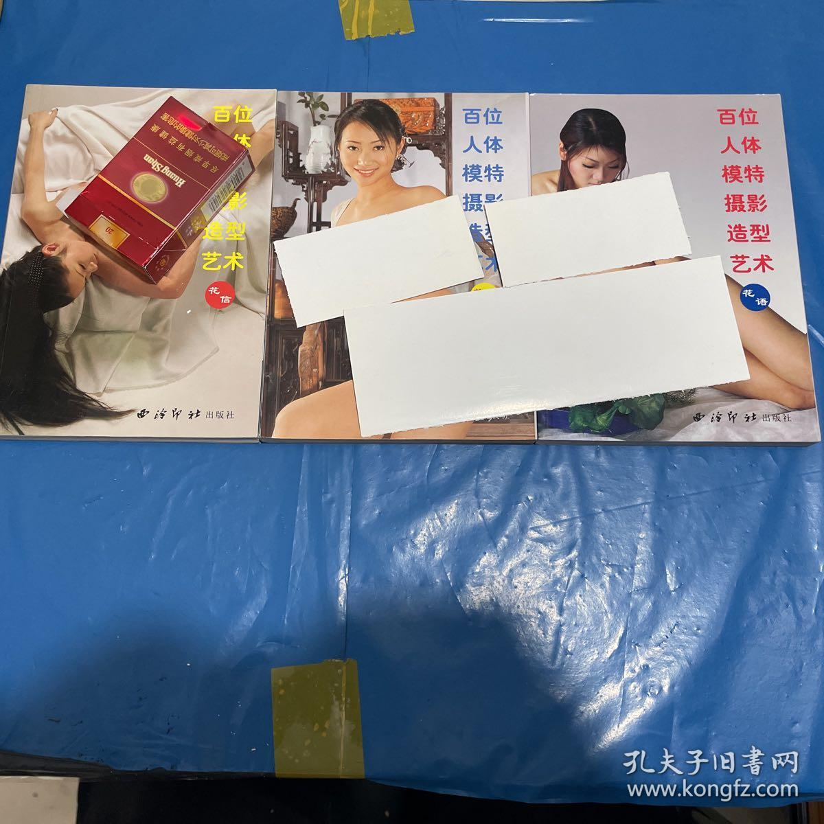 百位人体模特摄影造型艺术全三册