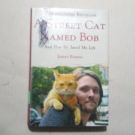 A Street Cat Named Bob：And How He Saved My Life