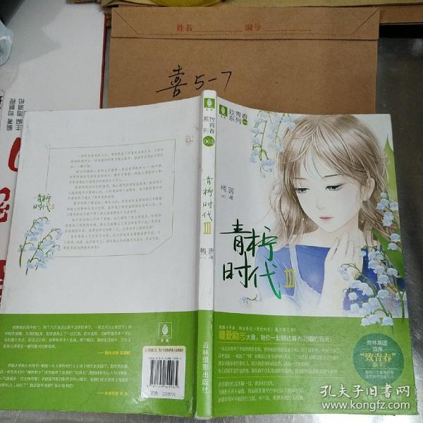 意林致青春系列3 青柠时代3