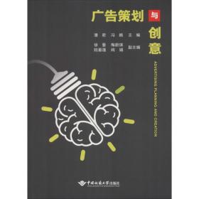 广告策划与创意潘君中国地质大学出版社