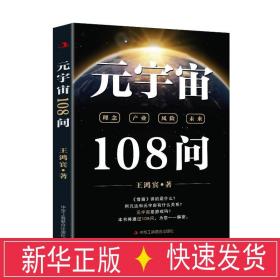 元宇宙108问 经济理论、法规 王鸿宾 新华正版