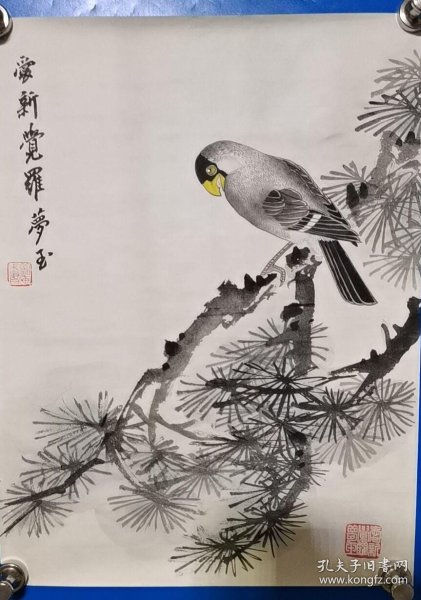 爱新觉罗·梦玉