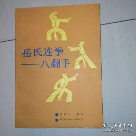 名家经典丨岳氏连拳-八翻手（全一册）+1VCD