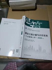 建设工程计量与计价实务 土木建筑工程 2020年版