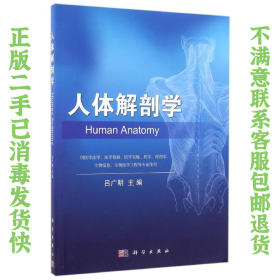 二手正版人体解剖学 吕广明 科学出版社
