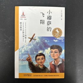 金骏马民族儿童文学精品：小穆萨的飞翔