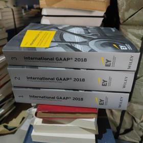 International GAAP 2018(套盒)3本合售