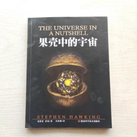 果壳中的宇宙