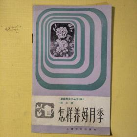 怎樣養好月季