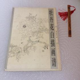 牡丹花白描画谱