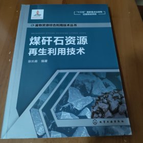 废物资源综合利用技术丛书--煤矸石资源再生利用技术