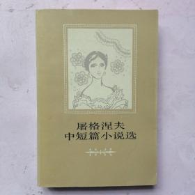 屠格涅夫中短篇小说选