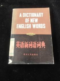 英语新词语词典