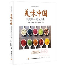 正版书美味中国:实用调味配方大全