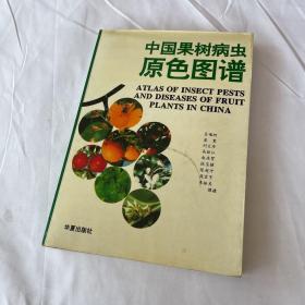 中国果树病虫原色图谱 1993年的