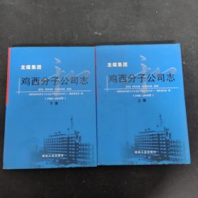 龙煤集团 鸡西分子公司志(1986-2010年) 上下册 全二册 2本合售