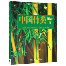 【正版新书】 中国竹类图志(续)/易同培 易同培, 科学出版社