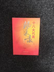 十八大代表风采录