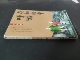 在細雨中呼喊
