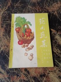 药用蔬菜