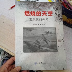 燃烧的天空:重庆空战画史