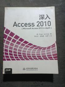 深入Access 2010
