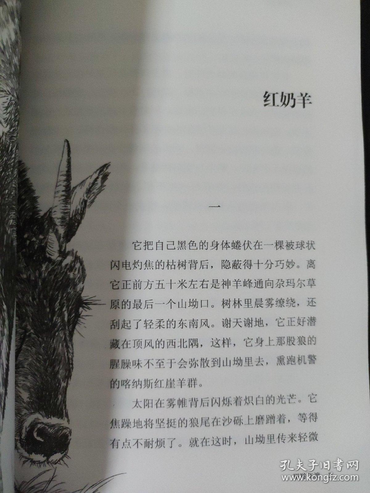 动物小说大王沈石溪·品藏书系:斑羚飞渡