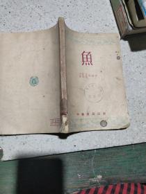 鱼