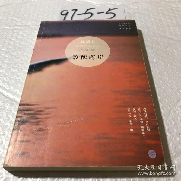 玫瑰 海岸:林清玄经典作品系列