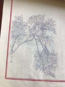 约八十年代旧制花卉信笺册 25页25种花卉图案 31x19cm