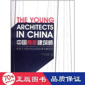 中国青年建筑师 建筑设计 石大伟 岳俊 新华正版