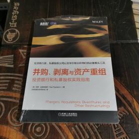 并购、剥离与资产重组：投资银行和私募股权实践指南