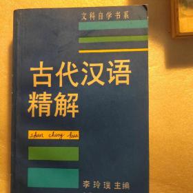 古代汉语精解