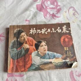 杨乃武与小白菜连环画