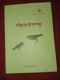 安多藏族民歌（藏文）