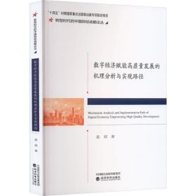 新华正版 数字经济赋能高质量发展的机理分析与实现路径 姜琪 9787521846966 经济科学出版社