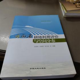云南省耕地利用评价与空间分布