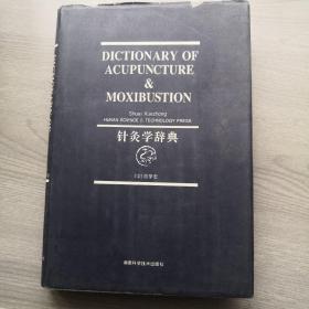 针灸学辞典英文版