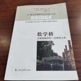 数学桥：对高等数学的一次观赏之旅